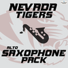 Nevada Alto Saxophone Supplies Package - Palen Music