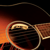 LR Baggs Anthem Soundhole Microphone/Undersaddle Acoustic Guitar Pickup - Palen Music