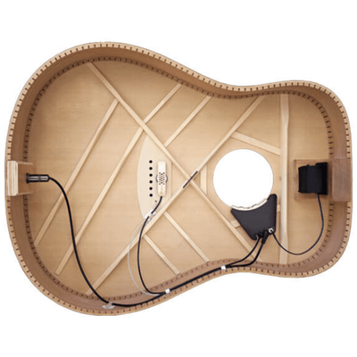 LR Baggs Anthem Soundhole Microphone/Undersaddle Acoustic Guitar Pickup - Palen Music
