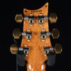 PRS Custom 24 Electric Guitar - Eriza Verde 10-Top - Palen Music