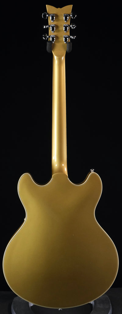 Schecter Corsair Semi-Hollowbody Electric Guitar (Gold Top) - Palen Music