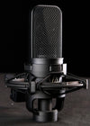 Audio Technica AT4040 Cardioid Condenser Microphone - Palen Music