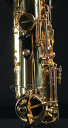 Selmer 52AXOS Professional Eb Alto Saxophone - Palen Music