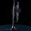 Del Quadro "The Grizzly" Custom Bb Trumpet - DQG - Palen Music