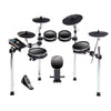 Alesis DM10 MKII Pro 10-Piece Electronic Drum Set - Palen Music