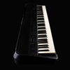 Roland FP-90 Digital Piano - Palen Music