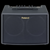 Roland AC-60 - 60-watt 2x6.5" Stereo Acoustic Amp - Black - Palen Music