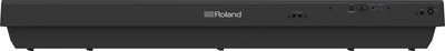 Roland FP-30X Digital Piano w/ Speakers - Black - Palen Music